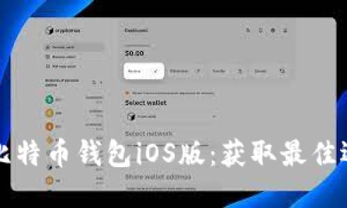 如何安全下载比特币钱包iOS版：获取最佳选择的完全指南