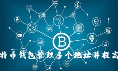 如何使用比特币钱包管理多个地址并提高资产安全性