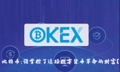 比特币：谁掌控了这场数字货币革命的财富？