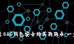 如何通过BRD钱包安全购买狗狗币：一步步指南