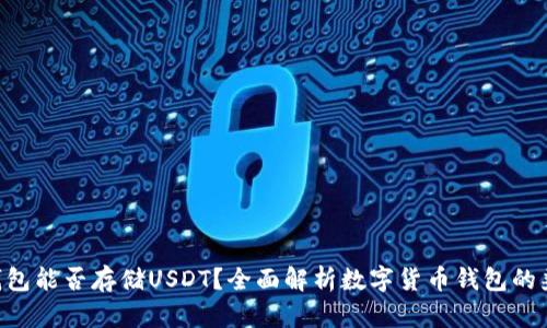 BTC钱包能否存储USDT？全面解析数字货币钱包的兼容性