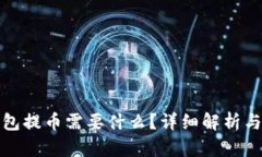 tp钱包提币需要什么？详细解析与指导