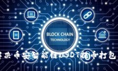 TP钱包如何解决币安智能链USDT提币打包中问题的