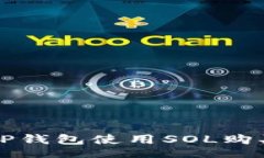 div    如何通过TP钱包使用SOL购买NFT：详细指南