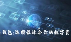 全面解析比特币钱包：选择最适合你的数字资产