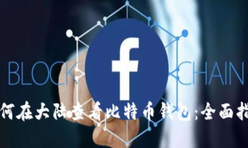 如何在大陆查看比特币钱包：全面指南