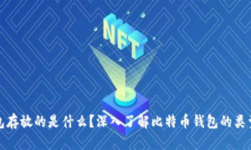 比特币钱包存放的是什么？深入了解比特币钱包的类型与安全性