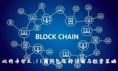 比特币分叉：11月钱包选择详解与投资策略