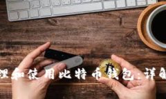 如何安全管理和使用比特币钱包：详解与注意事