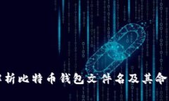 全面解析比特币钱包文件名及其命名规则