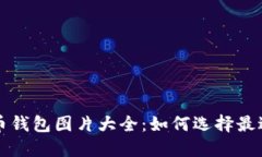 苹果版比特币钱包图片大全：如何选择最适合你