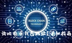 如何查询比特币钱包地址？详细指南与技巧