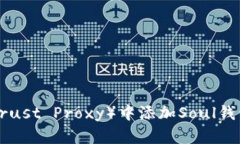 如何在TP（Trust Proxy）中添加Soul钱包：详细指南