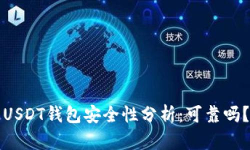 USDT钱包安全性分析：可靠吗？