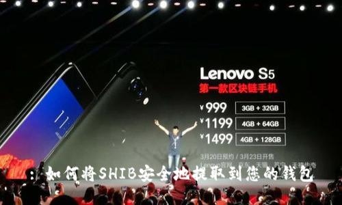 : 如何将SHIB安全地提取到您的钱包