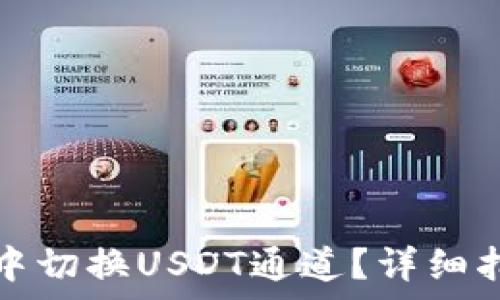   
如何在TP钱包中切换USDT通道？详细指南与注意事项