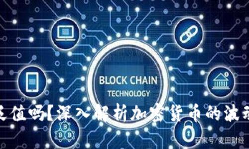 tp钱包的币会贬值吗？深入解析加密货币的波动性与投资策略